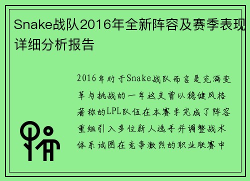 Snake战队2016年全新阵容及赛季表现详细分析报告